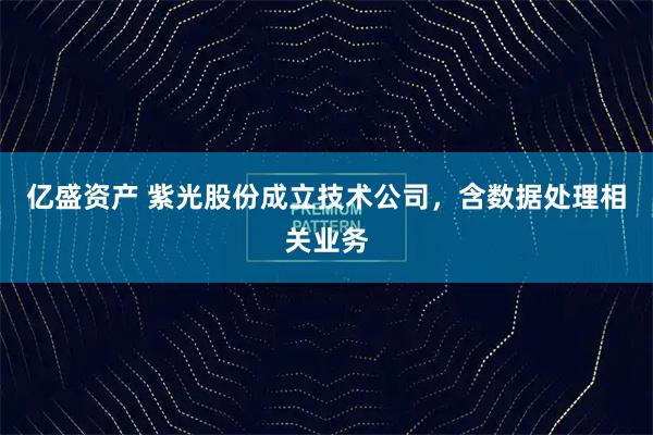 亿盛资产 紫光股份成立技术公司，含数据处理相关业务