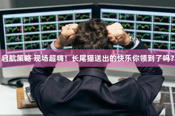 启航策略 现场超嗨！长尾猫送出的快乐你领到了吗？